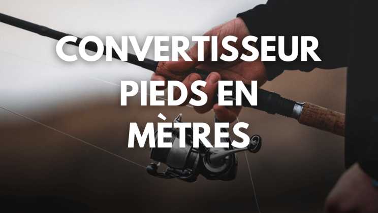 Pieds en mètres : convertissez facilement vos mesures