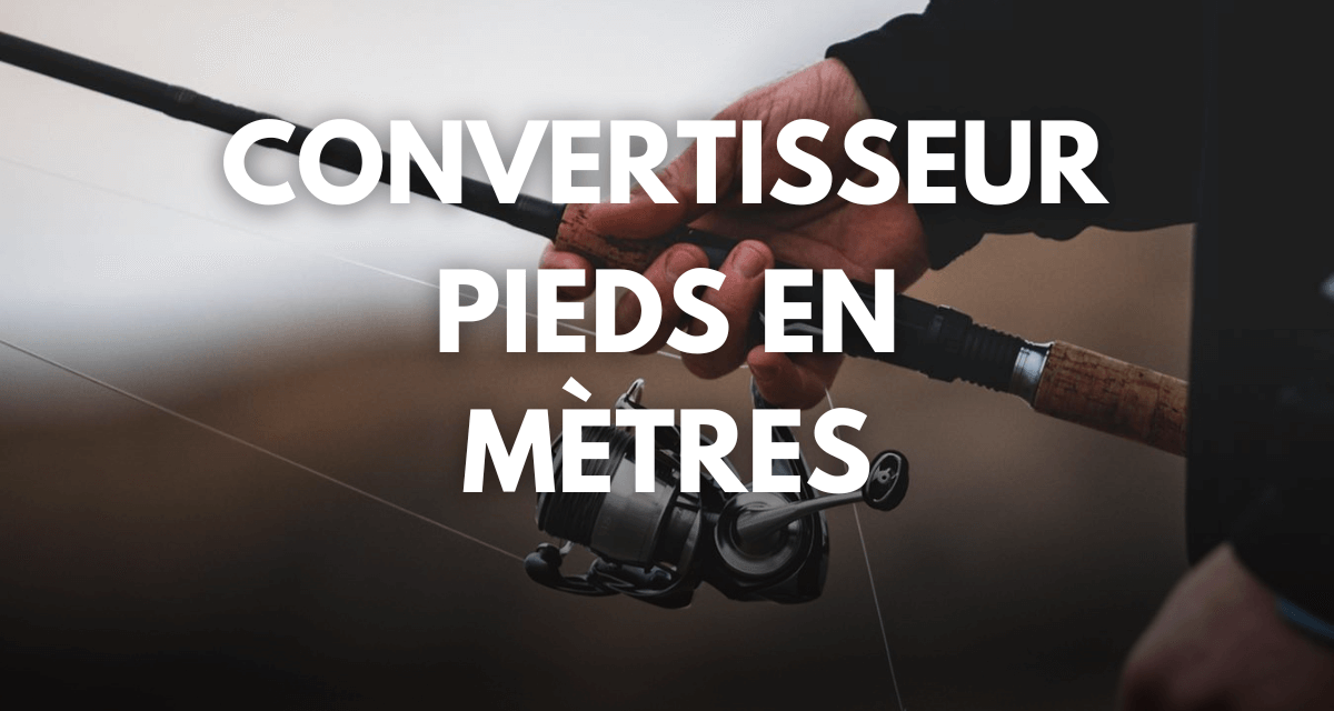 découvrez comment convertir facilement des pieds en mètres avec notre guide pratique. apprenez les formules essentielles et des astuces pour des conversions rapides et précises.