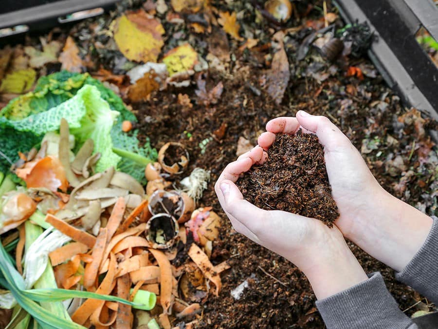 découvrez les bienfaits du compost tea pour votre jardin ! apprenez comment cette solution naturelle stimule la croissance des plantes, améliore la santé du sol et lutte contre les maladies. transformez votre jardin en un écosystème florissant grâce à cette méthode de jardinage durable.