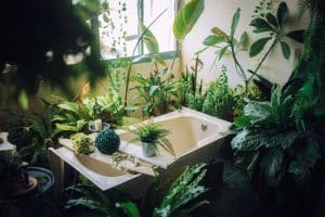 Comment prévenir la moisissure sur vos plantes d'intérieur